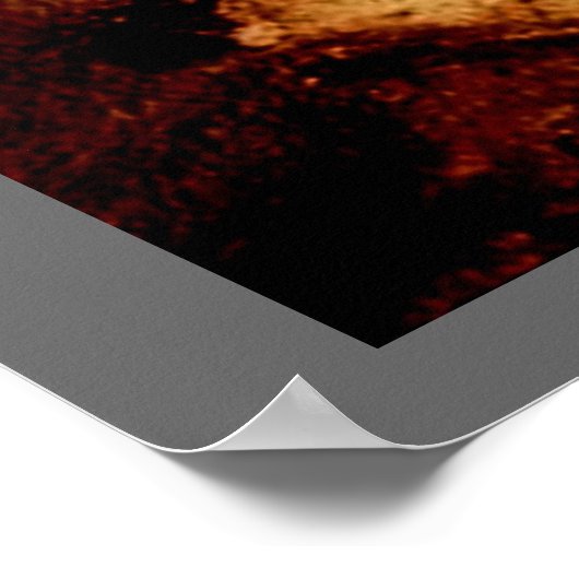 Poster Lascaux Horse (Coin)