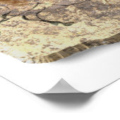 Poster Lascaux Pierre de cheval (Coin)