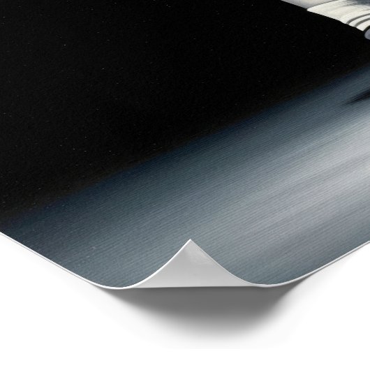 POSTER L'ASCENSION ÉCARLATE (Coin)