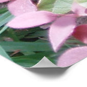 Poster Laser les yeux de chat (Coin)