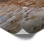 Poster Lasse Cowbar, Lindisfarne (Coin)