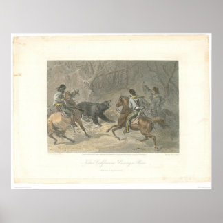 Poster Lassoing a Bear (1178A)