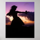 Poster Last Light (Devant)