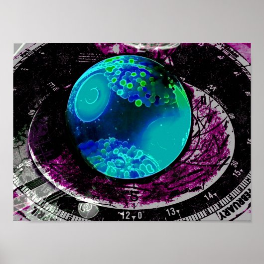 Poster L'astronomie est devenue sauvage (Devant)