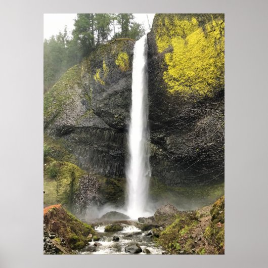 Poster Latourell Falls, Oregon (Devant)