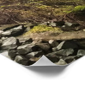 Poster Latourell Falls, Oregon (Coin)