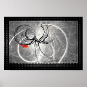 Poster Latrodectus Mactans