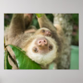 Poster Latte (Devant)