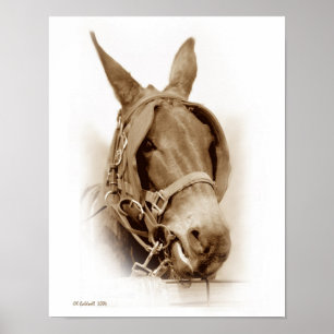 Poster L'attente de travailler