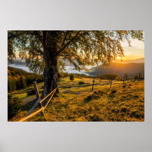 Poster L'aube triste dans une forêt (Devant)