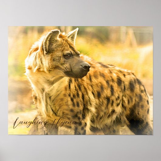 Poster Laughing Hyena ポ タ (Devant)