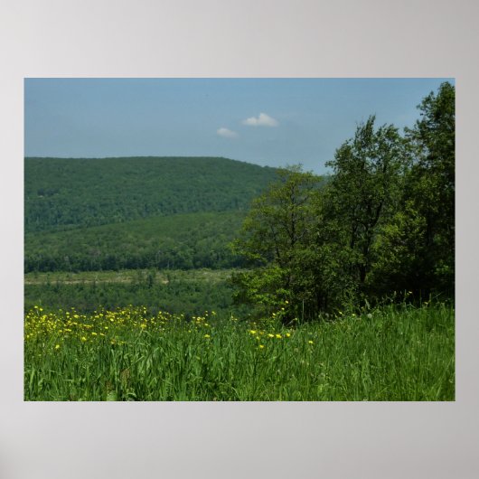 Poster Laurel Highlands Pennsylvania Summer Photography (Devant)