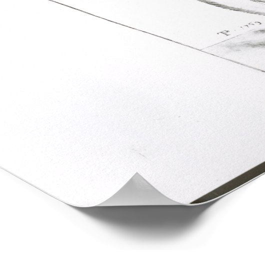 Poster Laurence Sterne (Coin)