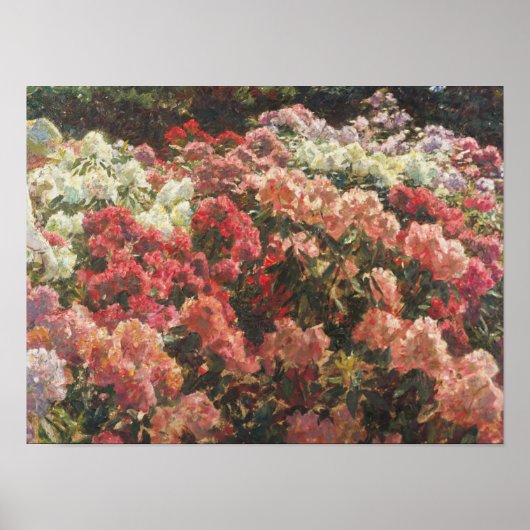 Poster Laurits Tuxen - Rhododendron Dans le jardin de Tux (Devant)