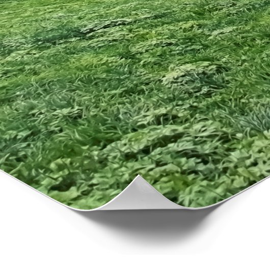 Poster Lauterbrunnen (Coin)