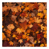 Poster l'automne (Devant)