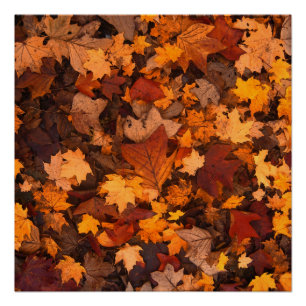 Poster l'automne