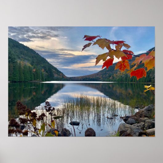 Poster L'automne à Bubble Pond à Acadia (Devant)