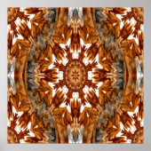 Poster L'automne amérindien.... (Devant)