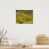 Poster L'automne arrive // Forêt colorée (Cuisine)