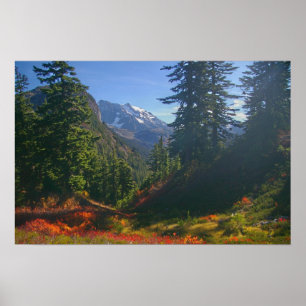 Poster L'automne au Mont Shuksan