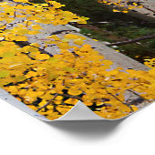 Poster L'automne dans le Aspen's (Coin)