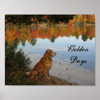 Poster L'automne laisse Golden Retriever Chien