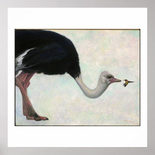 Poster L'autruche et le colibri par Bryn Barnard (Devant)
