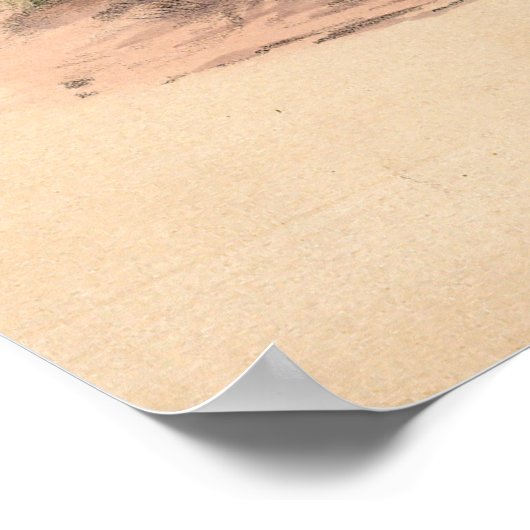 Poster L'autruche par Joseph Wolf (Coin)