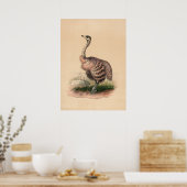 Poster L'autruche par Joseph Wolf (Cuisine)