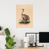 Poster L'autruche par Joseph Wolf (Bureau à domicile)