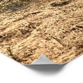 Poster Lava Lake (Coin)