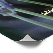 Poster Lavande (Coin)