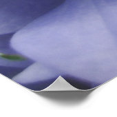 Poster Lavande (Coin)