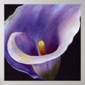 Poster Lavande Calla Lily (Devant)