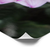Poster Lavande Dahlia (Coin)