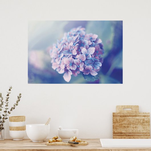 Poster Lavande Hydrangea (Cuisine)