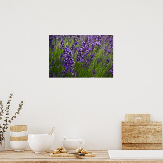 Poster Lavande | Lavendel (Cuisine)