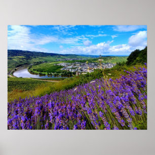Poster Lavande le long de la Moselle en Allemagne