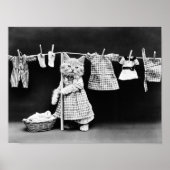 Poster Lave-Linge À Cat Sur Clothesline (Devant)