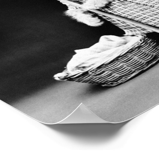 Poster Lave-Linge À Cat Sur Clothesline (Coin)