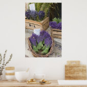 Poster Lavendar for sale, Provence, France (Cuisine)