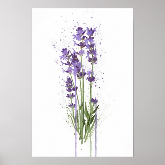 Poster Lavender (Devant)