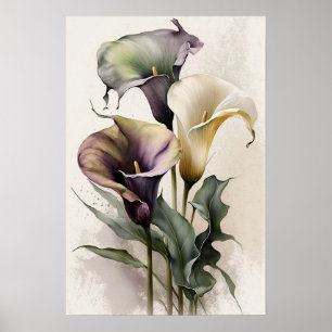 Poster Lavender Calla Lilies Lily Flower Art Imprimer Pos