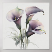 Poster Lavender Calla Lilies Lily Flower Art Imprimer Pos (Devant)