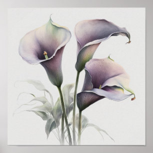 Poster Lavender Calla Lilies Lily Flower Art Imprimer Pos