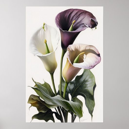 Poster Lavender Calla Lilies Lily Flower Art Imprimer Pos (Devant)
