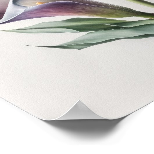 Poster Lavender Calla Lilies Lily Flower Art Imprimer Pos (Coin)