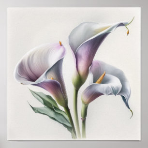 Poster Lavender Calla Lilies Lily Flower Art Imprimer Pos