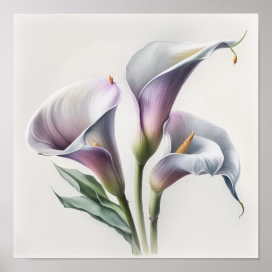 Poster Lavender Calla Lilies Lily Flower Art Imprimer Pos (Devant)